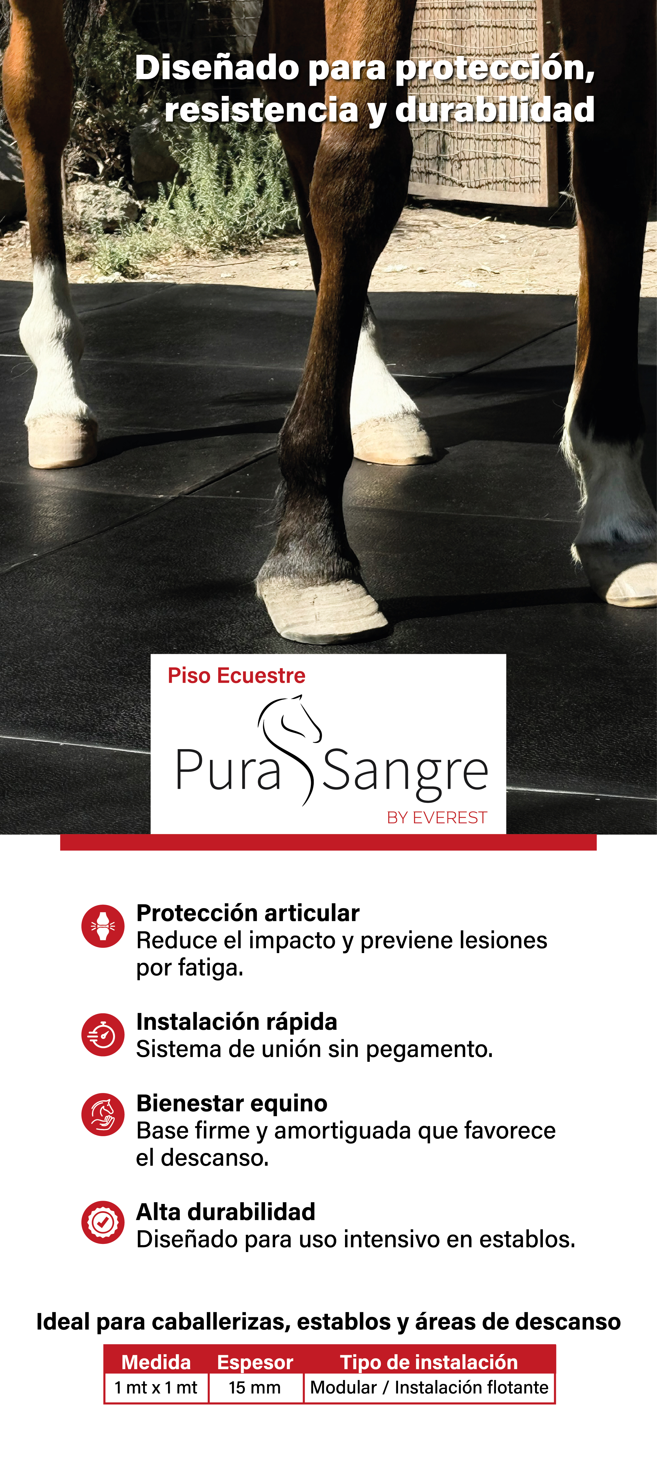 PISO ECUESTRE EVEREST