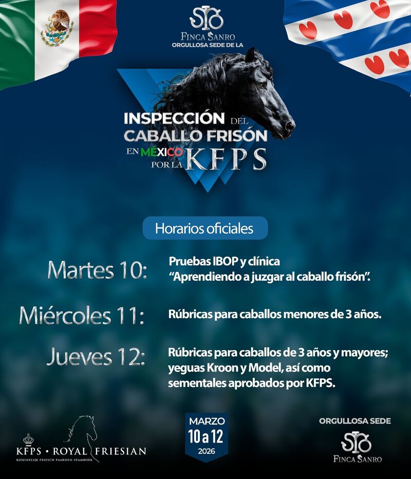 Grupo Everest patrocinador de la Inspección KFPS 2026 - Caballo Frisón