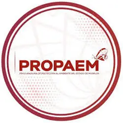 Distintivo Empresa Limpia por prácticas ambientales – Grupo Everest