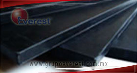 EPDM GRUPO EVEREST