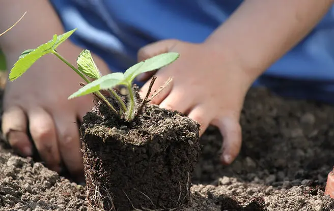 Compromiso ambiental de Grupo Everest - Prácticas sostenibles