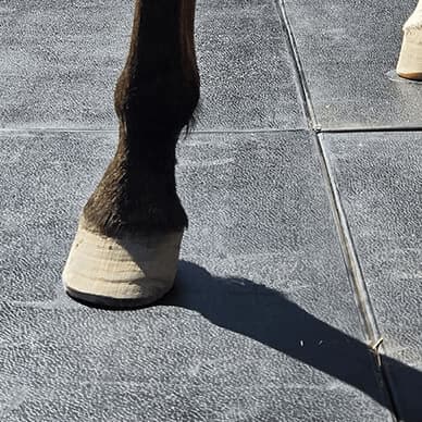 Piso de hule para uso ecuestre