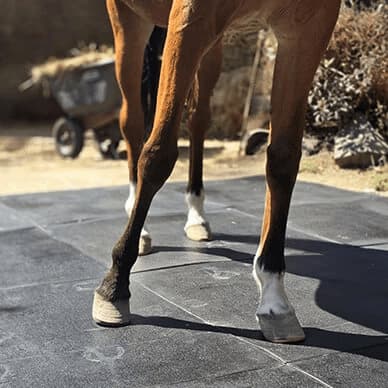 Tapete de caucho para establo de caballos - Piso antiderrapante Pura Sangre