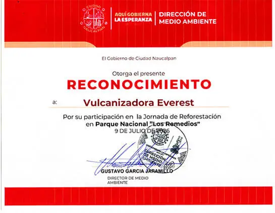 Constancia de participación en jornada de reforestación - Grupo Everest
