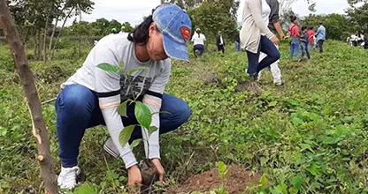 Colaboradores de Grupo Everest plantando árboles durante jornada ambiental